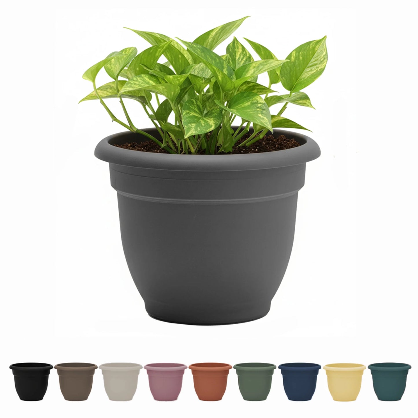 Ariana 10" Self-Watering Plastic Planter - Rolled Rim Indoor/Outdoor Garden Pot, Dusty Rose