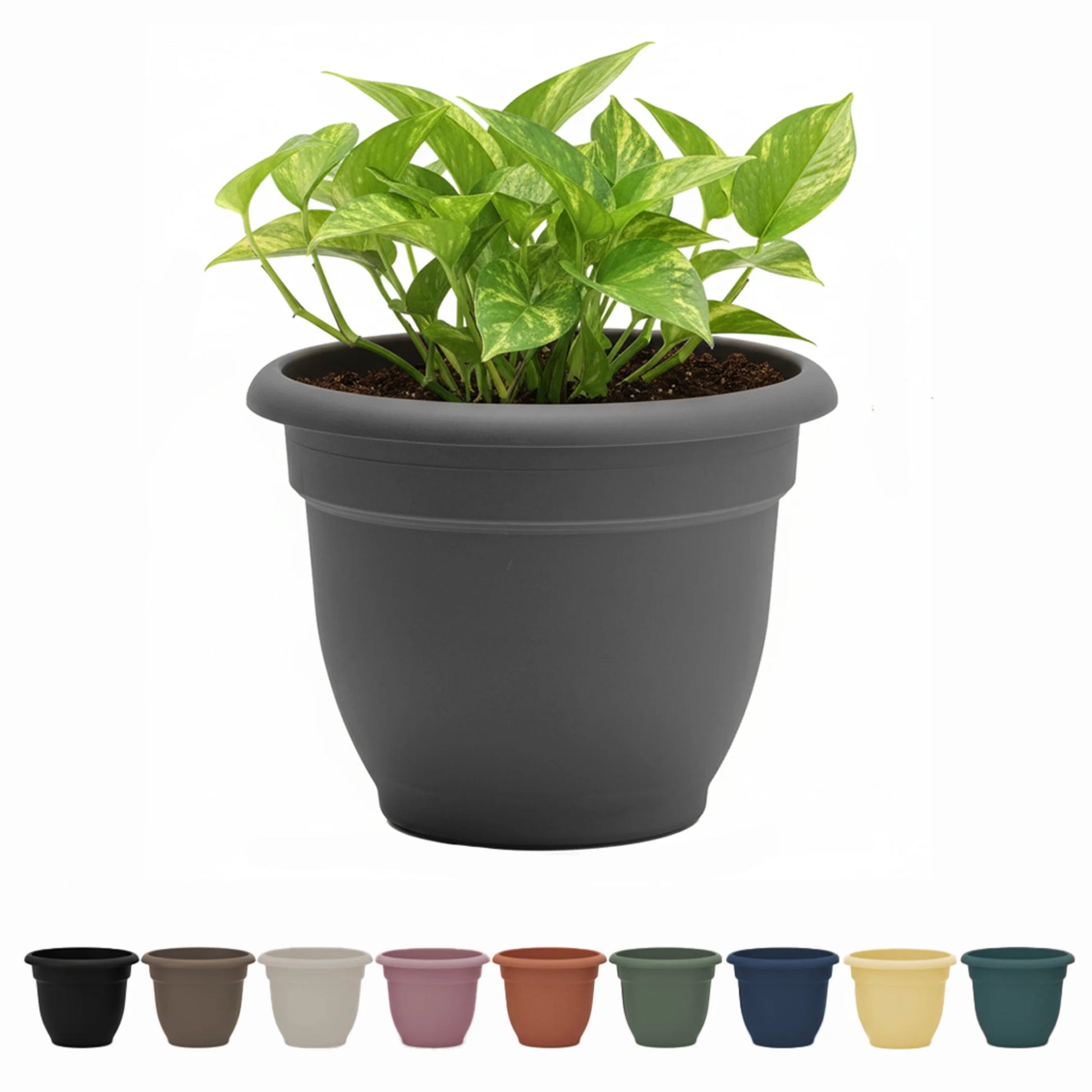 Ariana 10" Self-Watering Plastic Planter - Rolled Rim Indoor/Outdoor Garden Pot, Dusty Rose