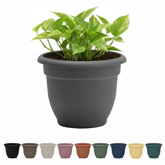 Ariana 10" Self-Watering Plastic Planter - Rolled Rim Indoor/Outdoor Garden Pot, Dusty Rose